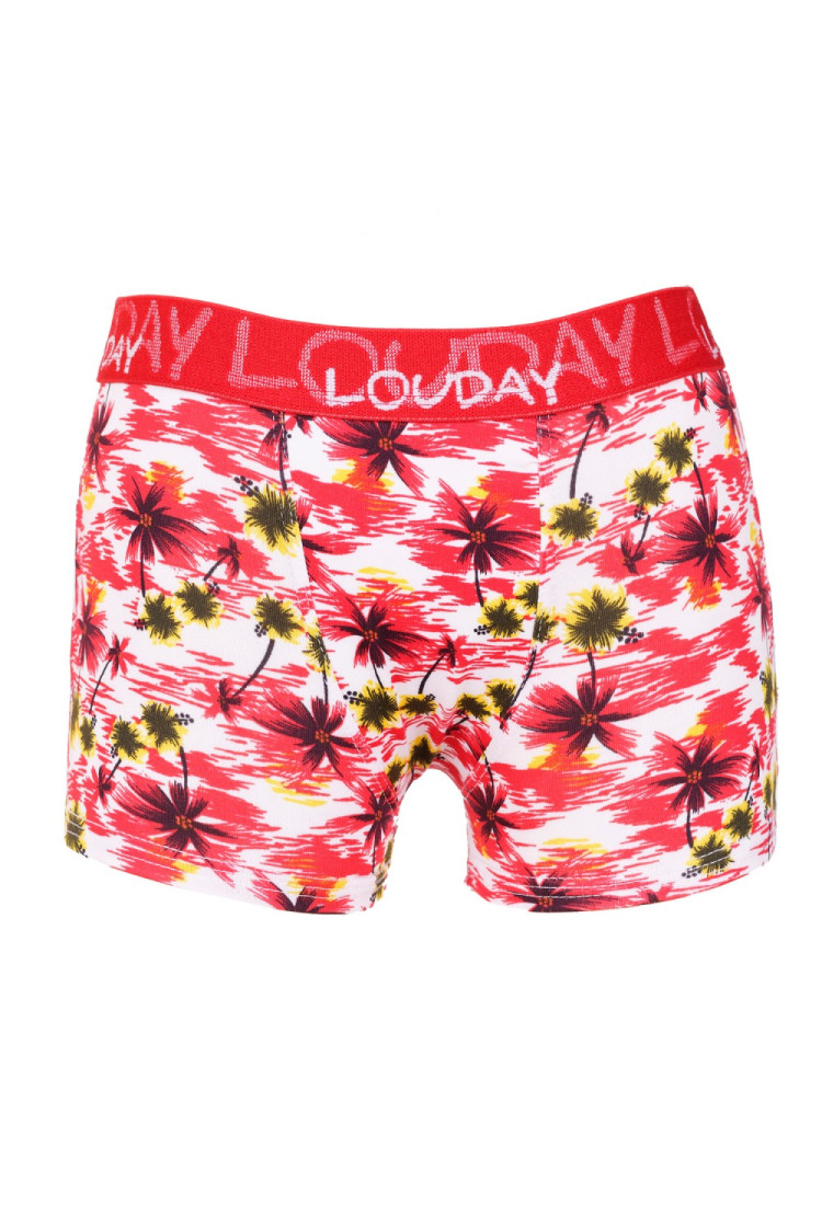 Cueca Boxer Infantil Romantic Estampada
